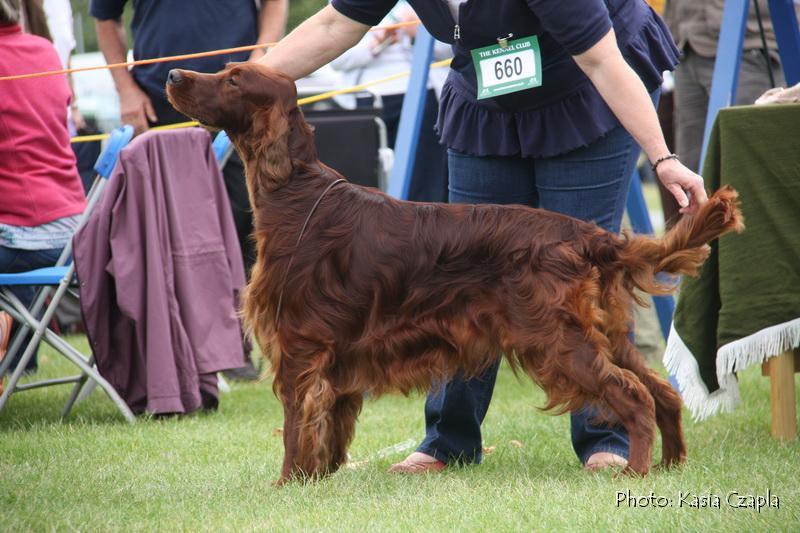 Copper's Champagne On Ice At Aoibheanne (14).jpg